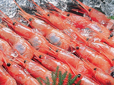 中部発 日帰り ジャムジャムプレミアム蟹ツアー 本ズワイガニ500gや甘エビ1kgなど北陸の名産品が当たる大抽選会開催!!活かにづくし3